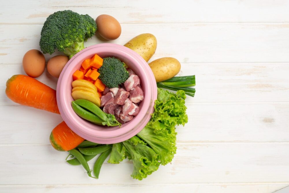 Cum să faci trecerea la o dietă naturală pentru câini în deplină siguranță