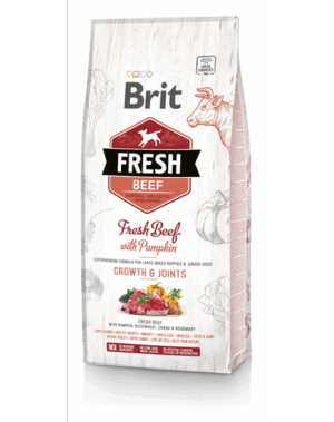 BRIT Fresh Puppy Large Hrana uscata catei talie mare cu vita si dovleac 2,5 kg