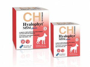 Hyalophyt MSM Giants – Supliment pentru articulatii – 30cpr.