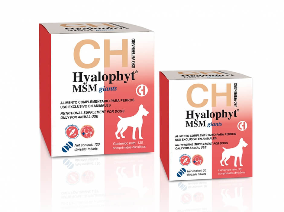 Hyalophyt MSM Giants - Supliment pentru articulatii - 30cpr.