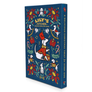 Lily’s Kitchen Dog Christmas Advent Calendar 100 g