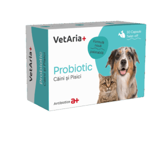 Probiotice pentru caini si pisici VetAria Probiotic, 30 capsule