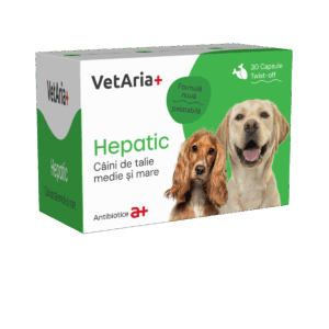 Supliment hepatic pentru caini de talie medie si mare VetAria+ Hepatic, 30 capsule, twist-off