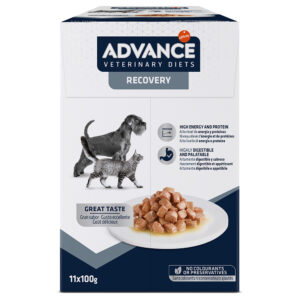 11x100g Recovery Advance Veterinary Diets Hrană umedă câini și pisici