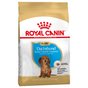 1,5kg Dachshund Junior Royal Canin Breed Hrană uscată câini
