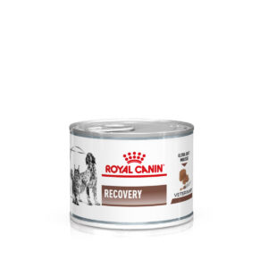 24x195g Recovery Mousse Royal Canin Veterinary Canine Hrană câini