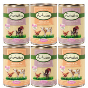 6x400g Pachet mixt II Junior Lukullus Hrană umedă câini