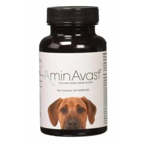 AminAvast Caine, 60 capsule