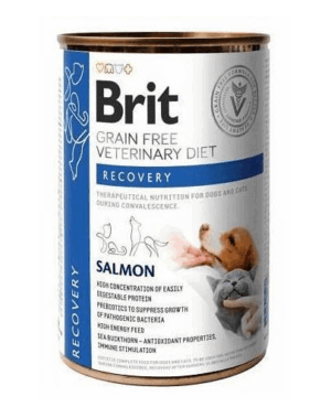BRIT Veterinary Diet Recovery Salmon hrana refacere pentru caini si pisici 24×400 g