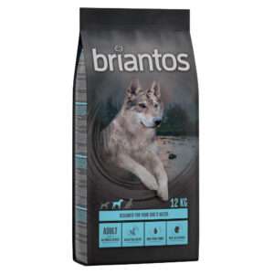 12kg Somon & cartofi Adult Briantos Hrană uscată fără cereale câini