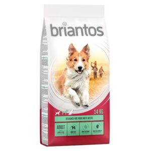 14kg Adult Briantos Hrană uscată câini – Miel & Orez