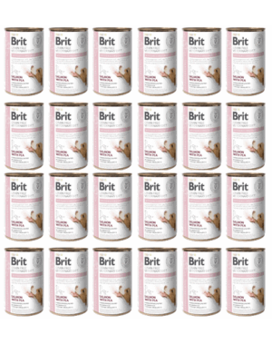 BRIT Veterinary Diet Hypoallergenic Salmon&Pea caini cu alergii 24×400 g hrana dietetica