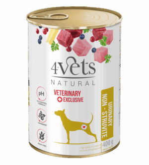 Dieta veterinara pentru caini cu afectiuni ale tractului instestinal, 4VetS Urinary Non-Struvite, 400 g