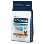 Advance Dog Breeds