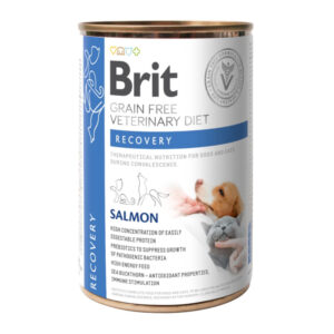 BRIT VD Recovery, Somon, dietă veterinară, conservă hrană umedă fără cereale câini, convalescență, (în sos), 400g