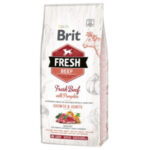 Brit Fresh Beef with Pumpkin