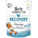 Brit Functional Snack Recovery