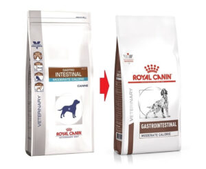 ROYAL CANIN VD Gastrointestinal Moderate Calorie, XS-XL, dietă veterinară, hrană uscată câini, sistem digestiv, 2kg