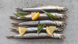Cu sardine