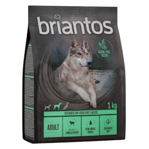 1kg Miel & cartofi Adult Briantos Hrană uscată fără cereale câini