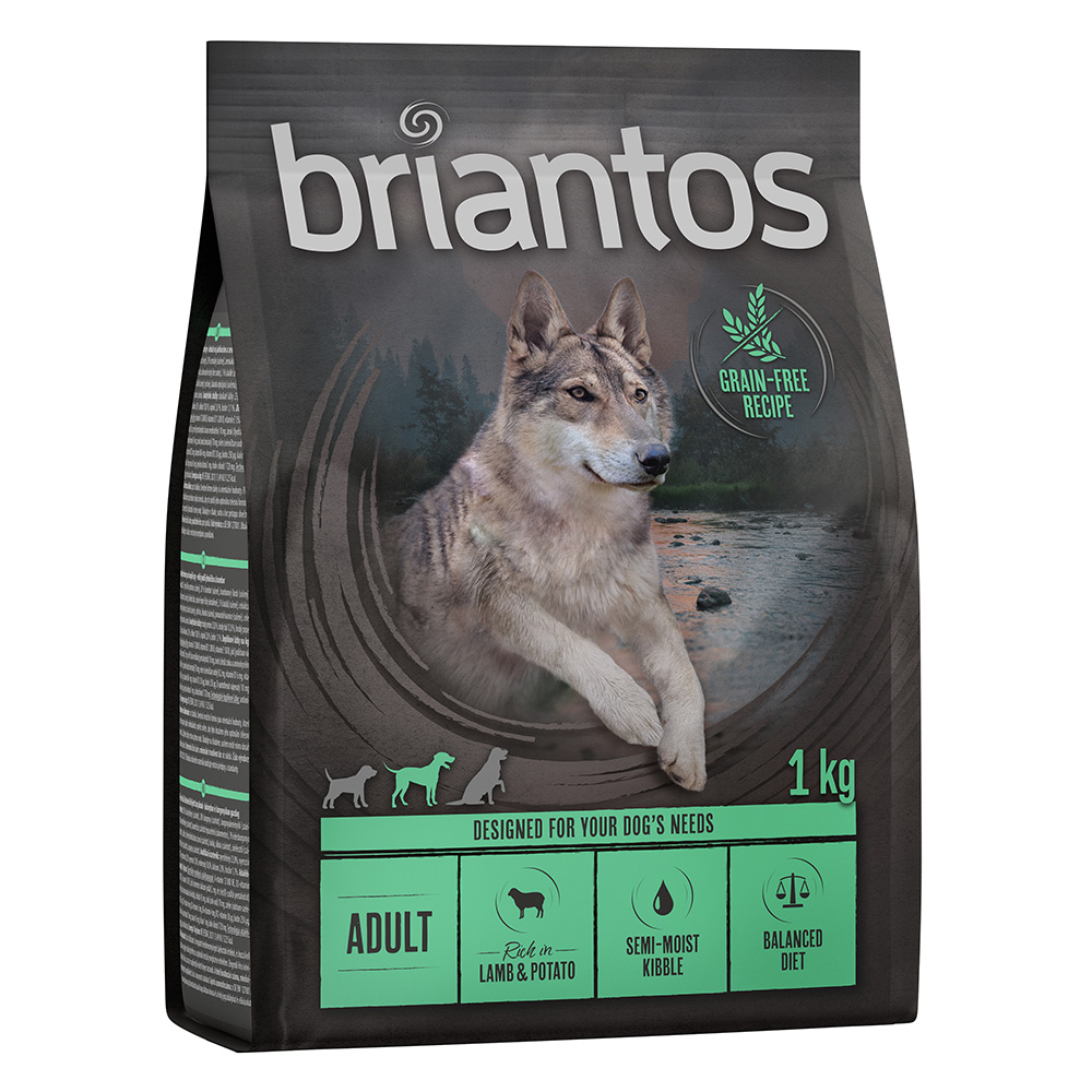 4x1kg Miel & cartofi Adult Briantos Hrană uscată fără cereale câini