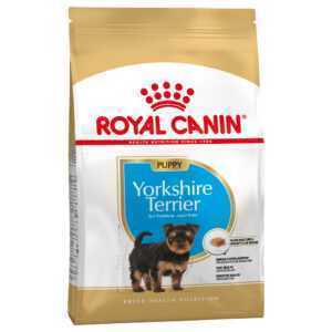 7,5kg Yorkshire Terrier Junior Royal Canin Breed Hrană uscată câini