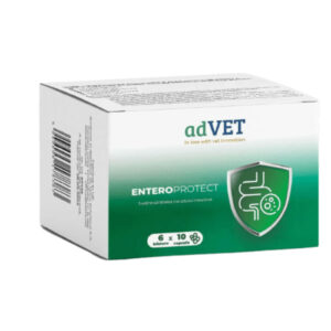 ADVET EnteroProtect, supliment sistem digestiv câini, capsule ADVET EnteroProtect, XS-XL, supliment sistem digestiv câini și pisici, flacon, 60 capsule