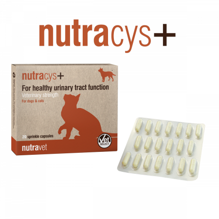 Nutravet Nutracys+ Sustinerea Tractului Urinar Caini si Pisici 20 Capsule