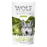 Wolf of Wilderness Training Green Fields