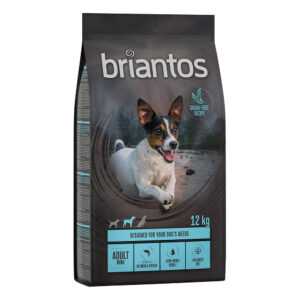 12kg Somon & cartofi Adult Mini Briantos Hrană uscată fără cereale câini