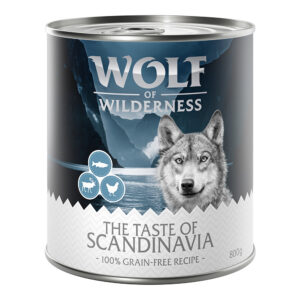 24 x 800 g The Taste of Scandinavia Wolf of Wilderness The Taste Of