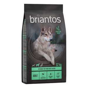 2x12kg Miel & cartofi Adult Briantos Hrană uscată fără cereale câini