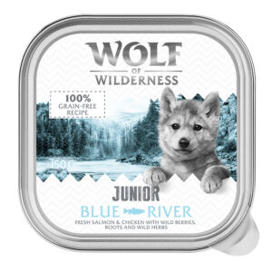 6x150g Pui și somon Junior Blue River Wolf of Wilderness Hrană umedă câini
