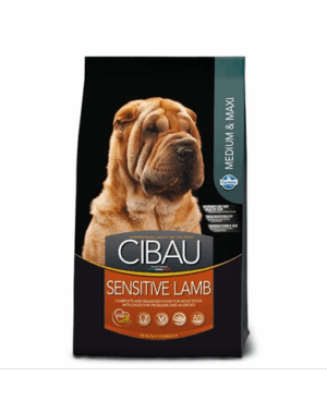 CIBAU Sensitive Lamb Medium & Maxi Hrana uscata pentru caini de talie medie sau mare, cu intolerante alimentare 12 kg + 2 kg GRATIS